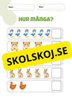 Hur många - Häfte