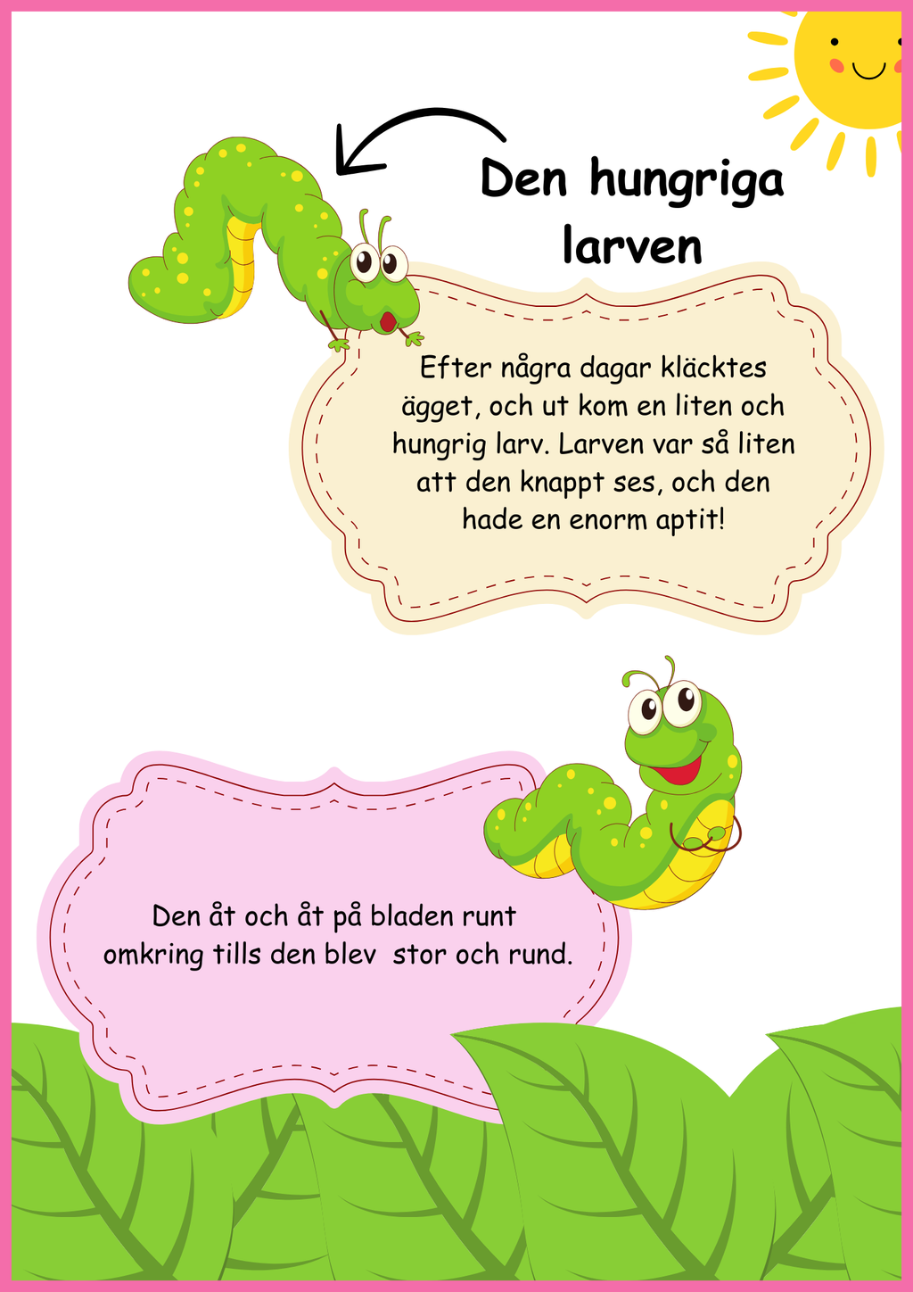 Insekter - Livscykler - 40 sidor