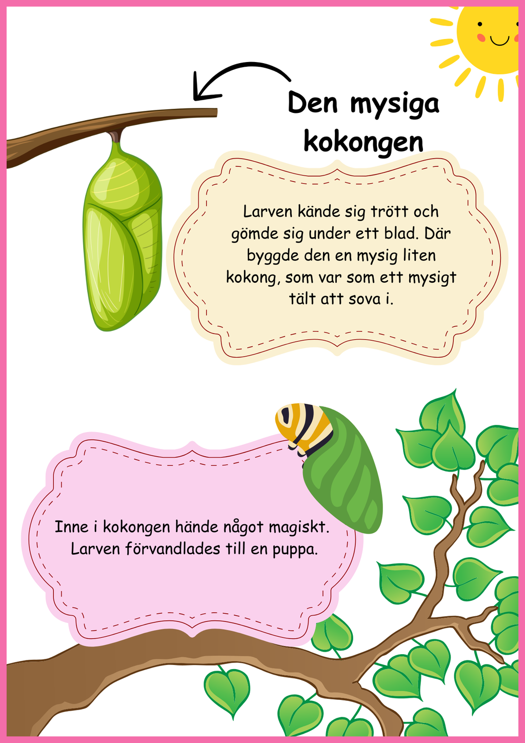 Insekter - Livscykler - 40 sidor