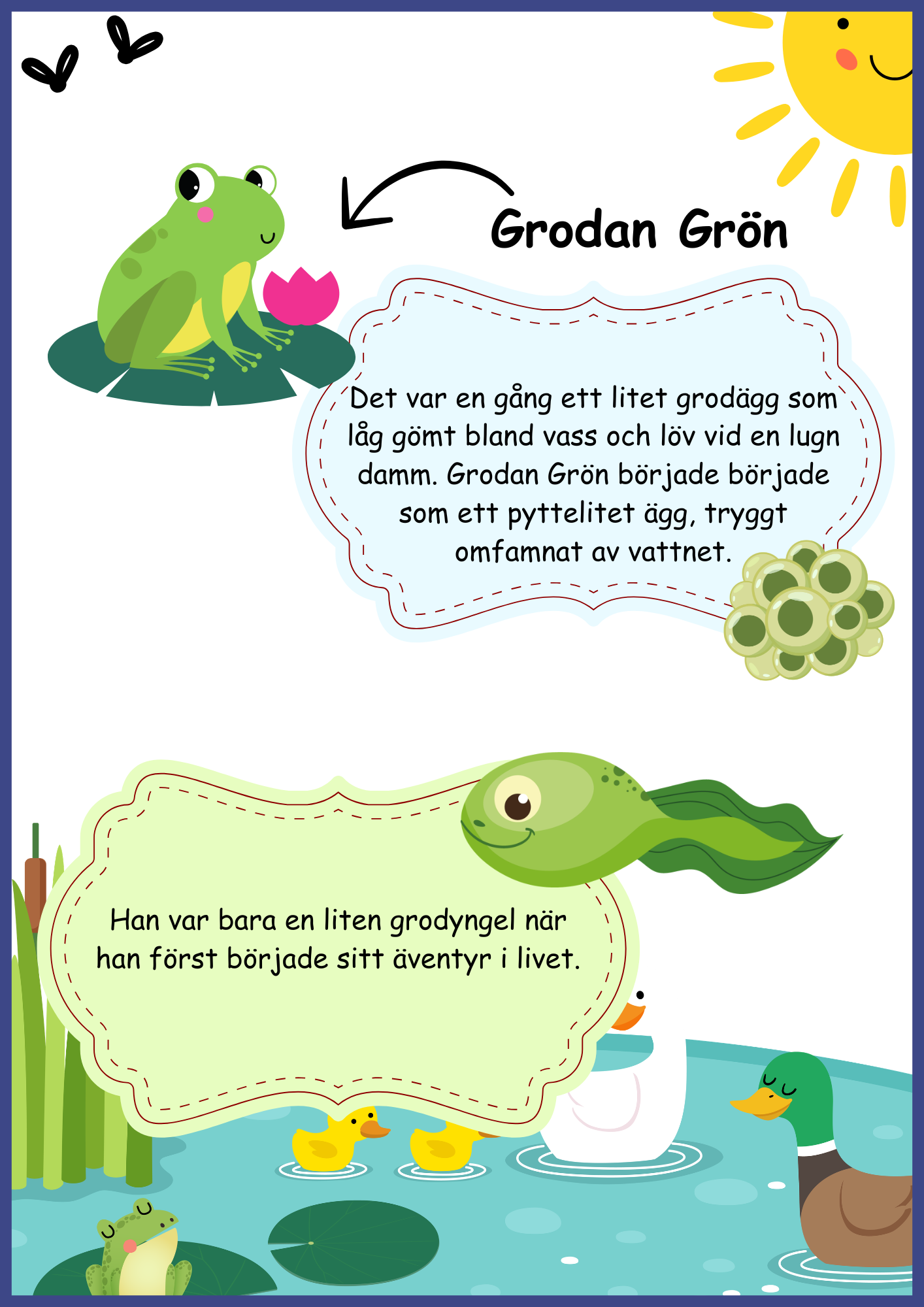 Insekter - Livscykler - 40 sidor
