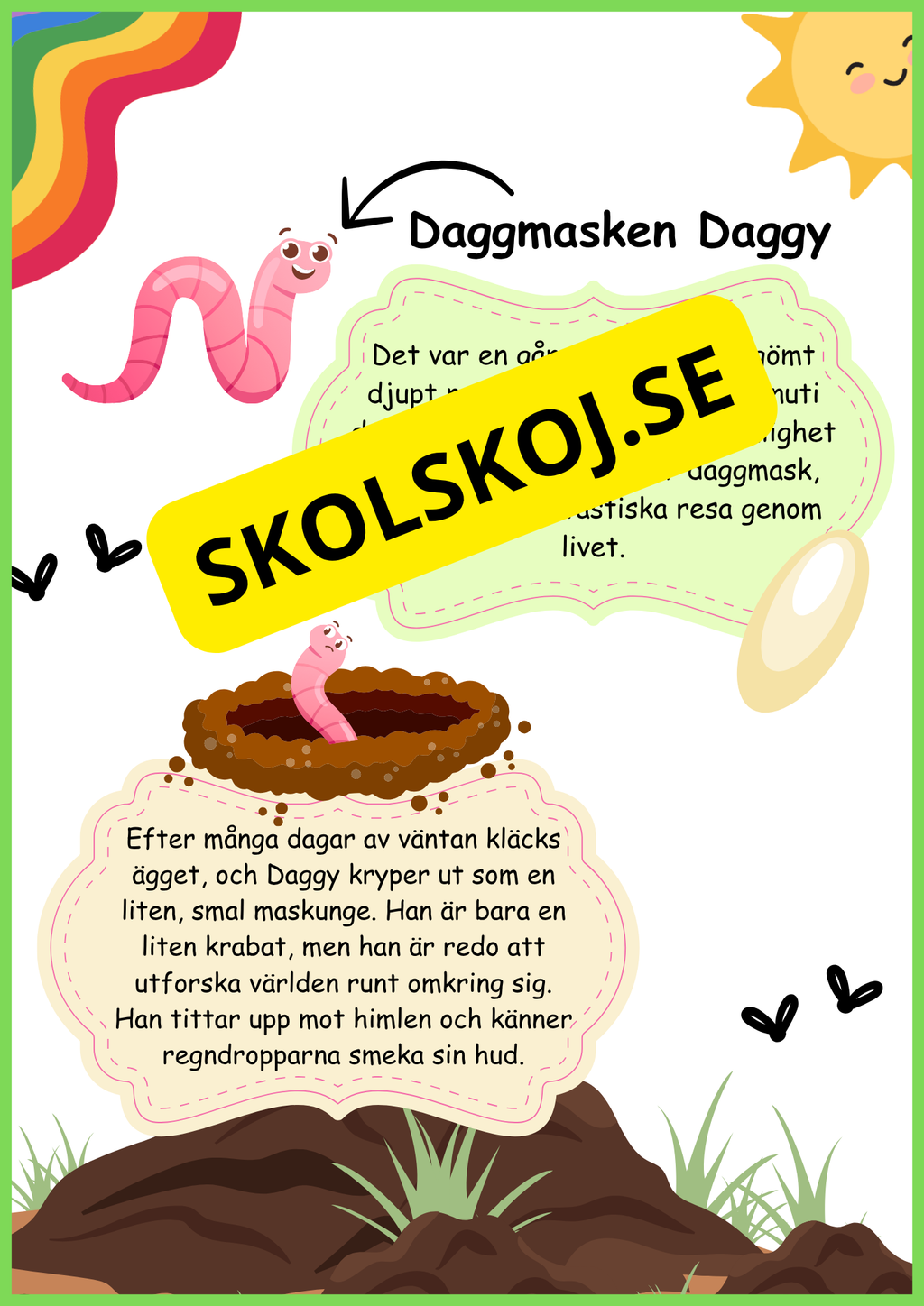 Insekter - Livscykler - 40 sidor