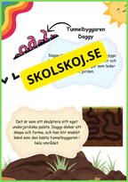 Insekter - Livscykler - 40 sidor