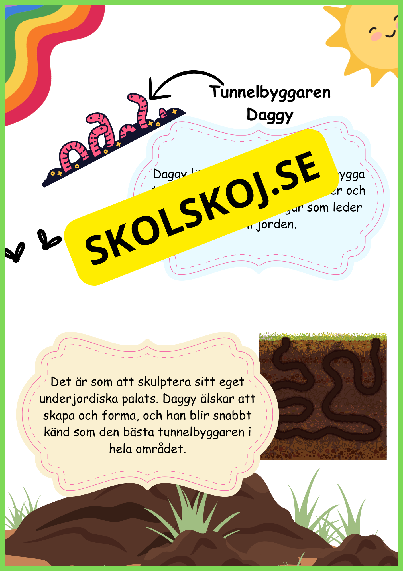 Insekter - Livscykler - 40 sidor