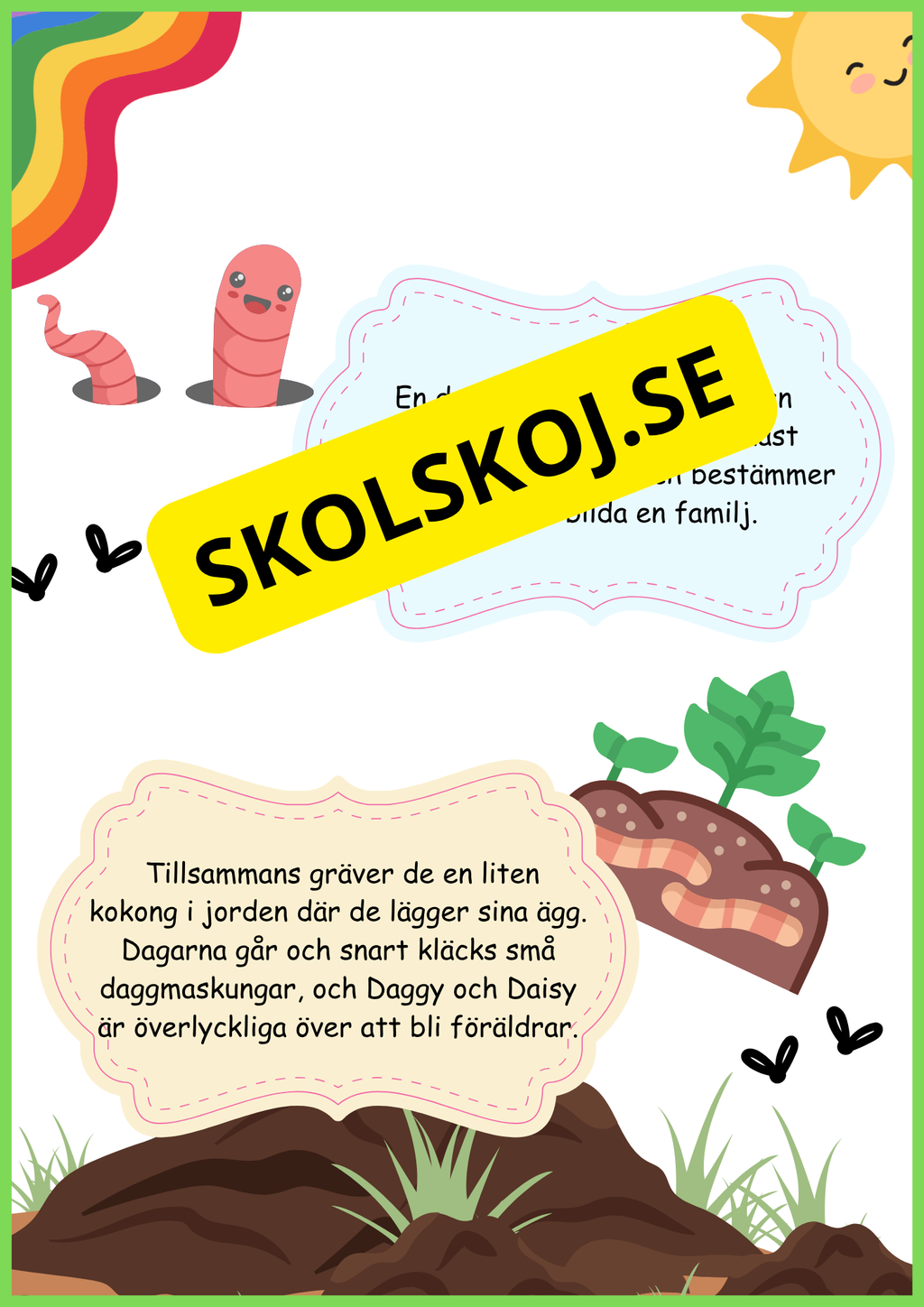 Insekter - Livscykler - 40 sidor