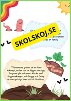 Insekter - Livscykler - 40 sidor