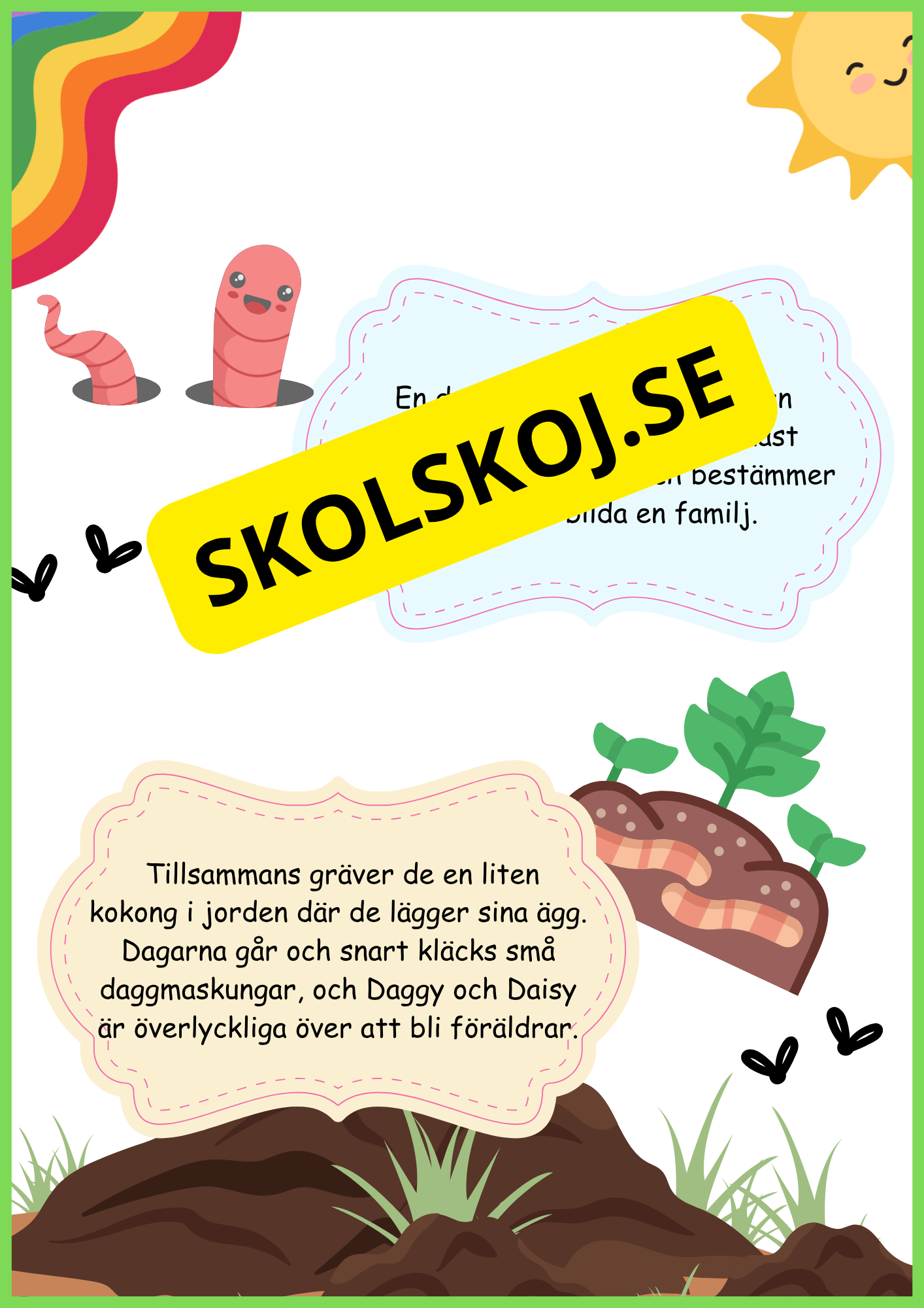 Insekter - Livscykler - 40 sidor