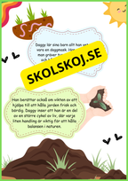 Insekter - Livscykler - 40 sidor