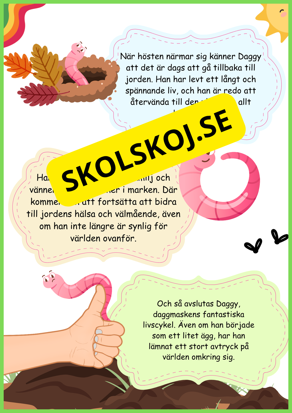 Insekter - Livscykler - 40 sidor