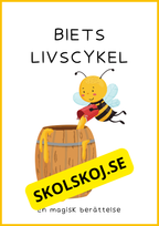 Insekter - Livscykler - 40 sidor