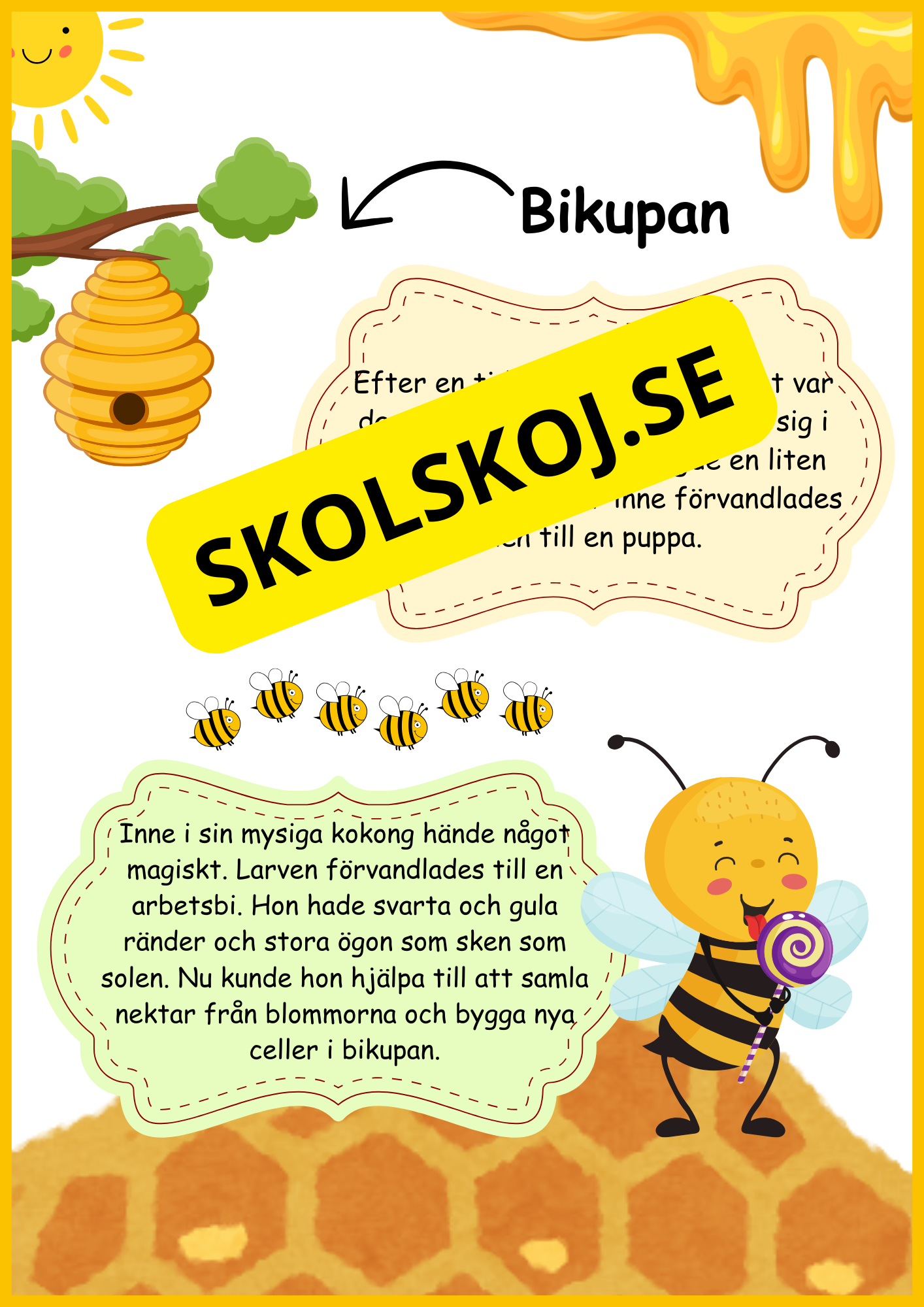 Insekter - Livscykler - 40 sidor