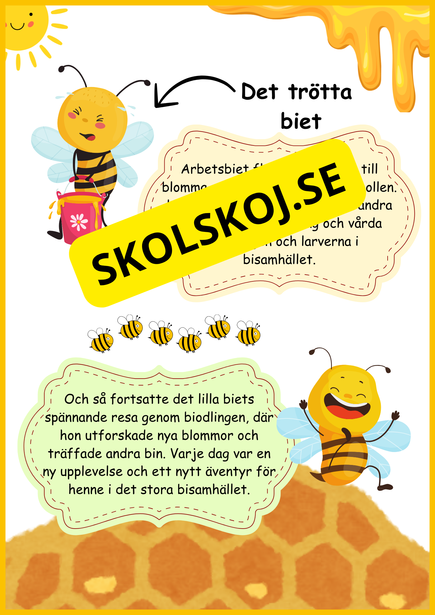 Insekter - Livscykler - 40 sidor