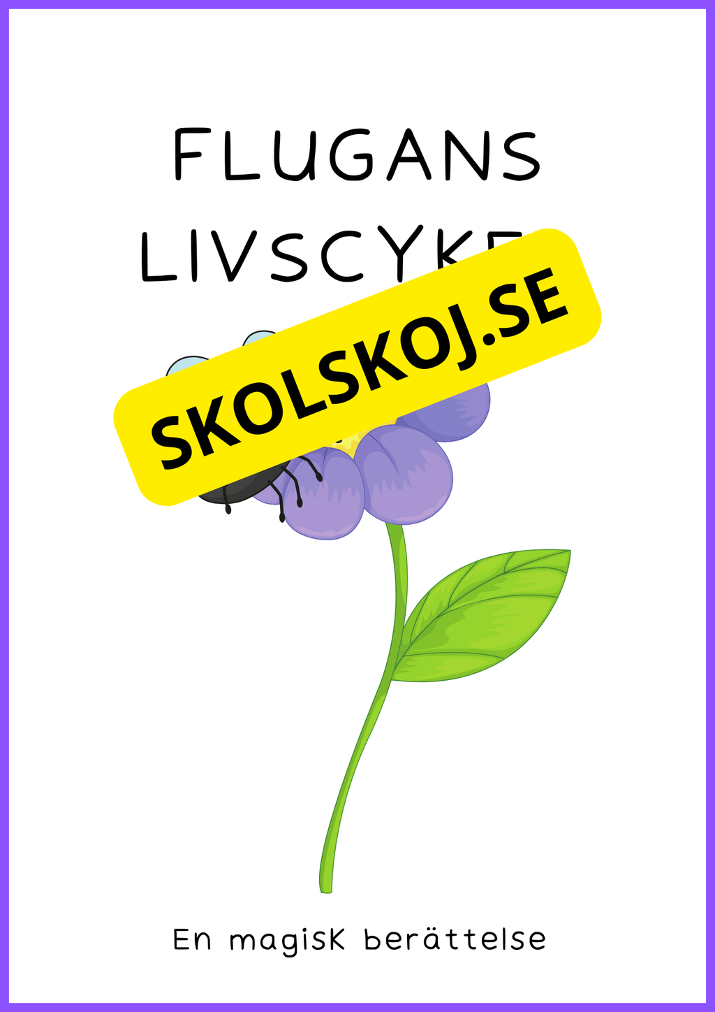 Insekter - Livscykler - 40 sidor