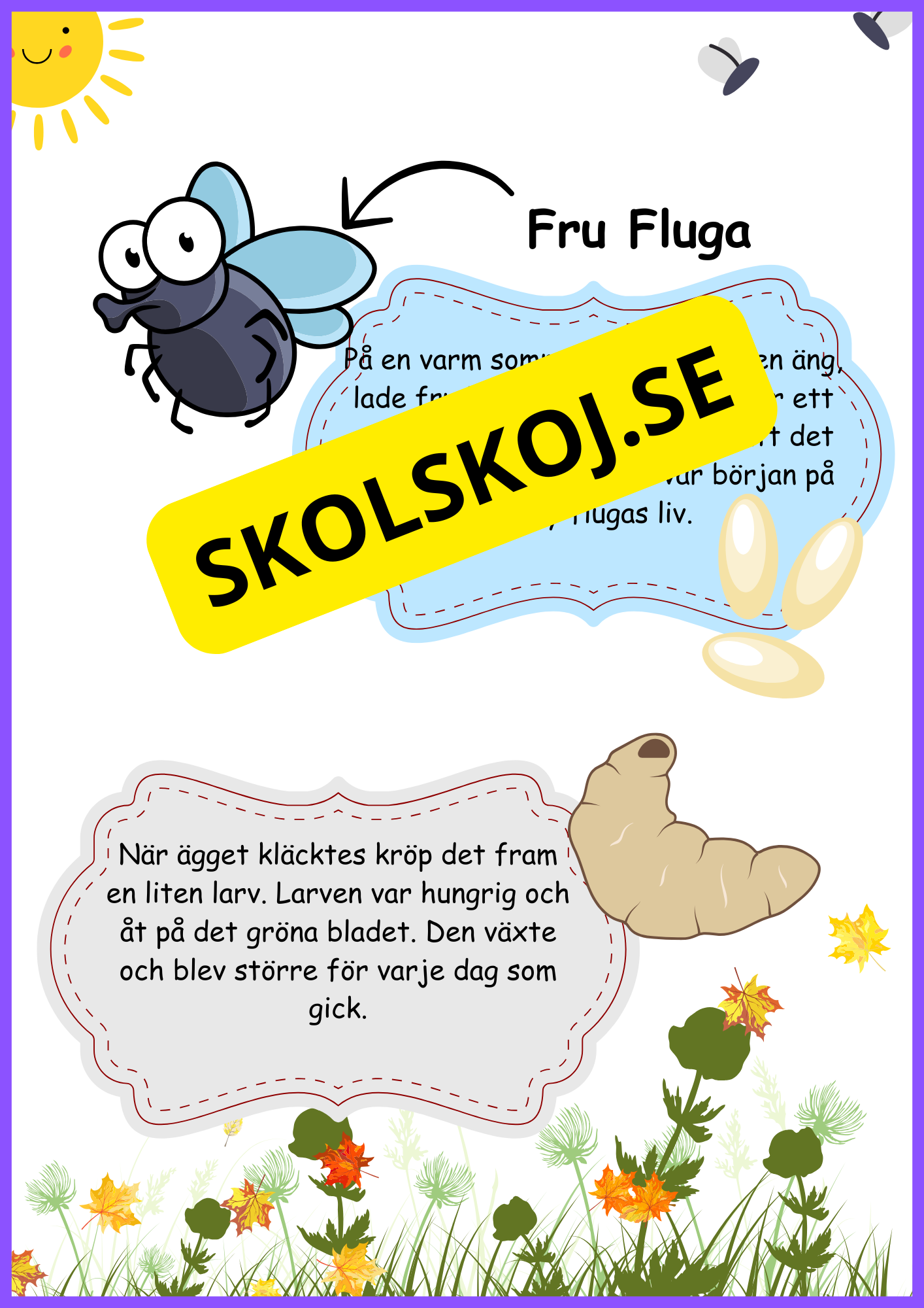 Insekter - Livscykler - 40 sidor