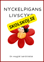 Insekter - Livscykler - 40 sidor
