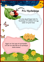 Insekter - Livscykler - 40 sidor