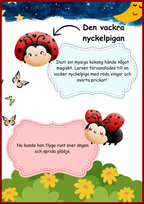 Insekter - Livscykler - 40 sidor