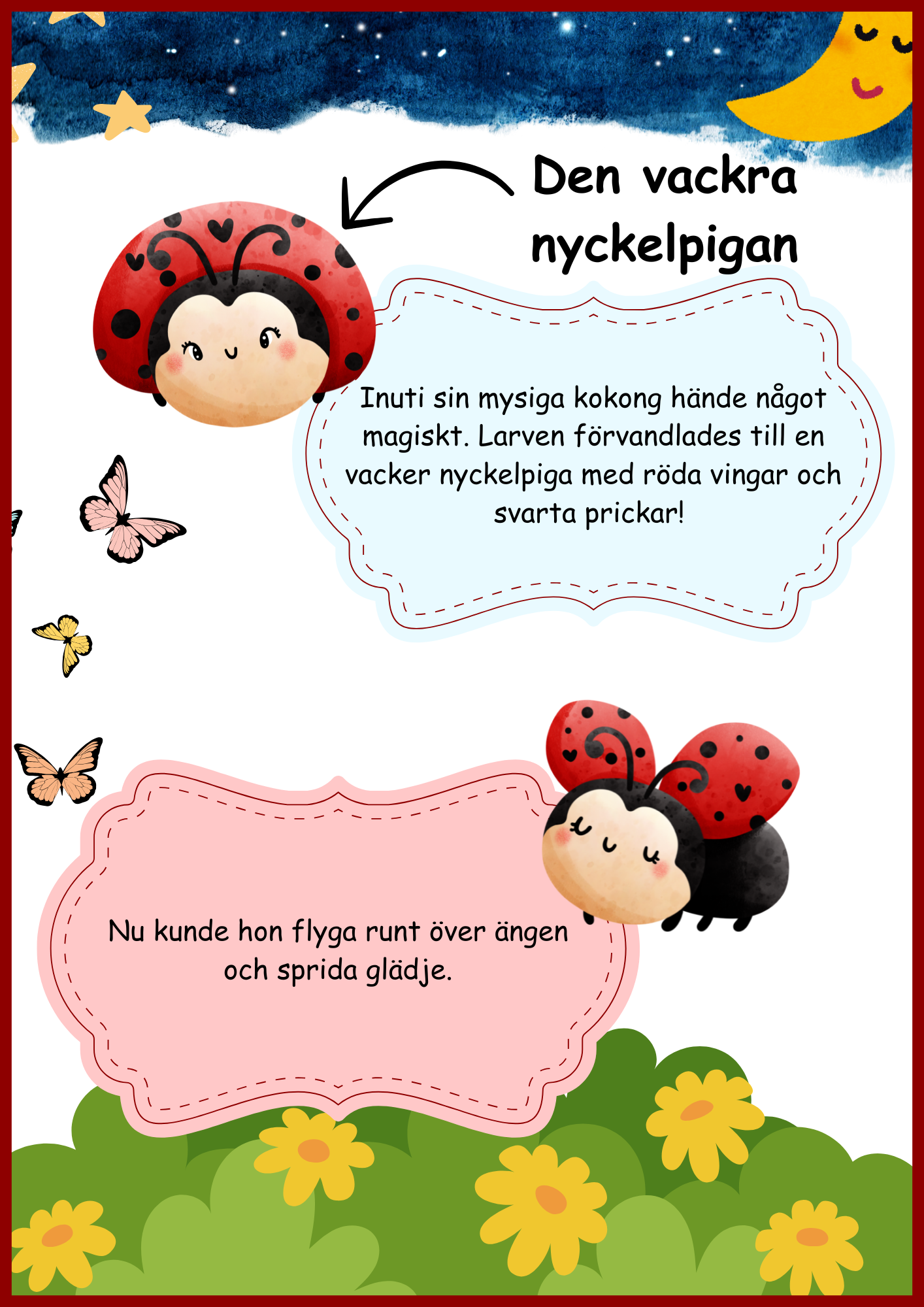 Insekter - Livscykler - 40 sidor