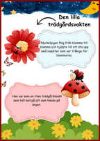 Insekter - Livscykler - 40 sidor