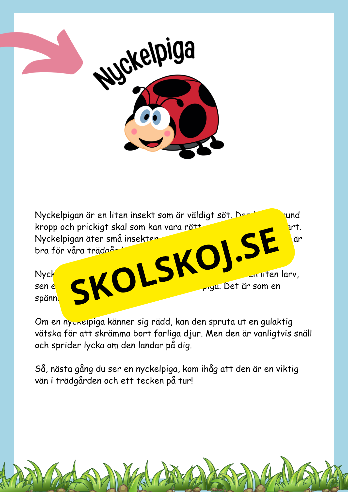 Insekter fakta och läsförståelse