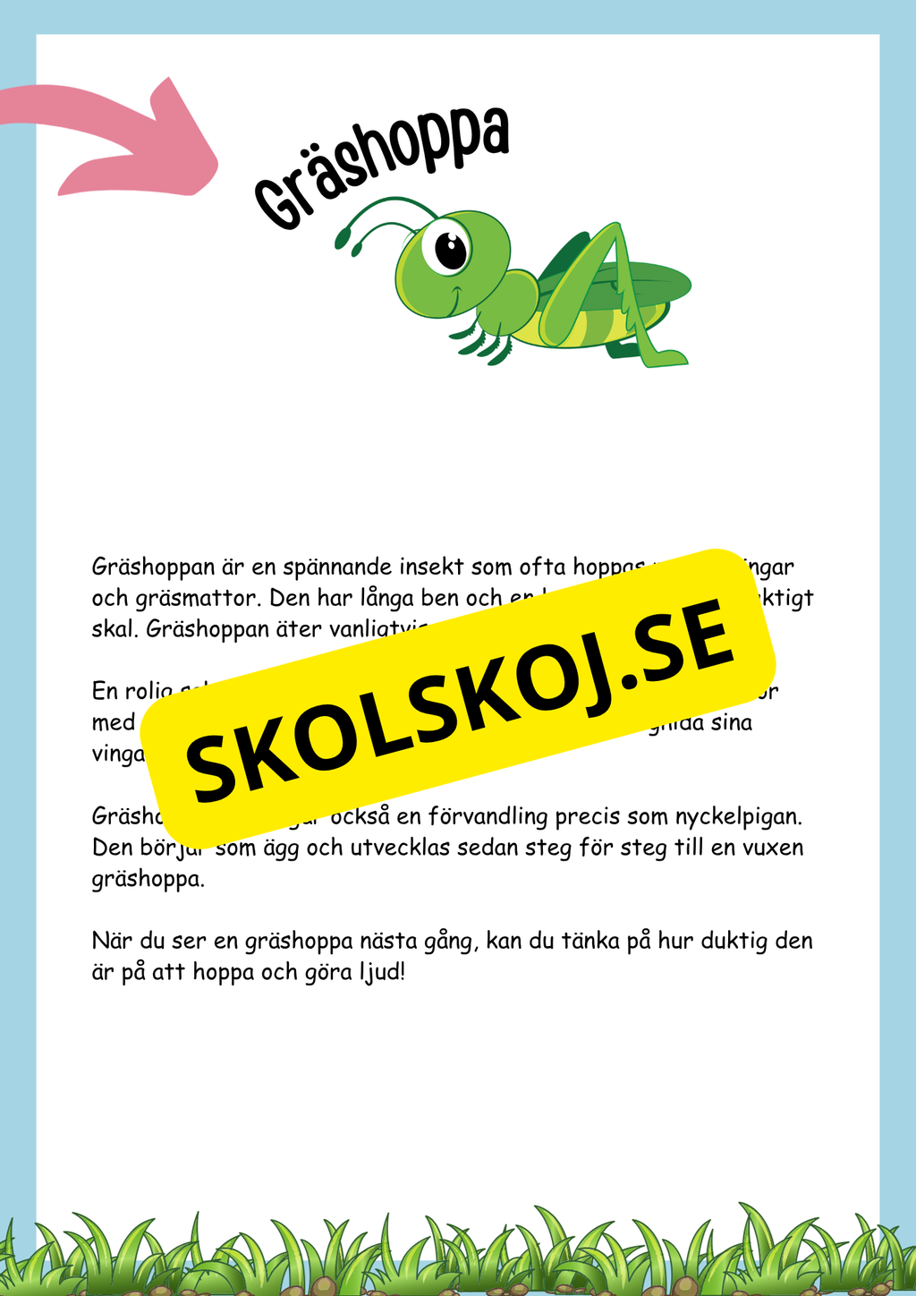 Insekter fakta och läsförståelse