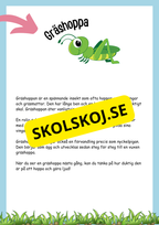 Insekter fakta och läsförståelse