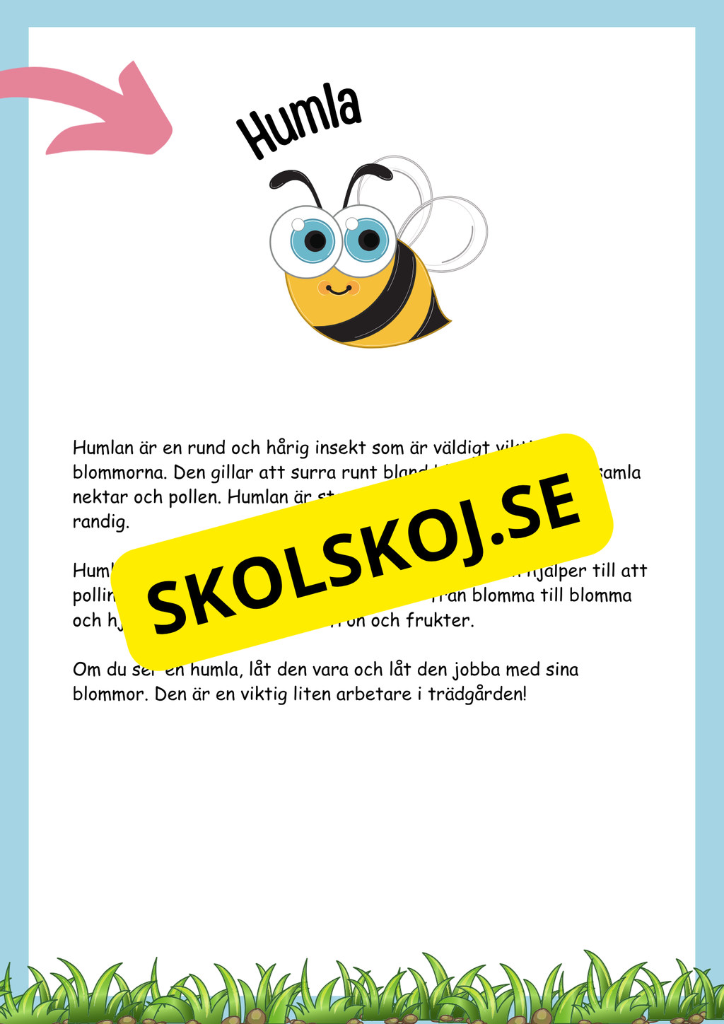 Insekter fakta och läsförståelse