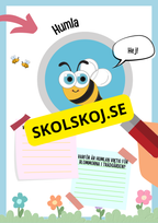 Insekter fakta och läsförståelse