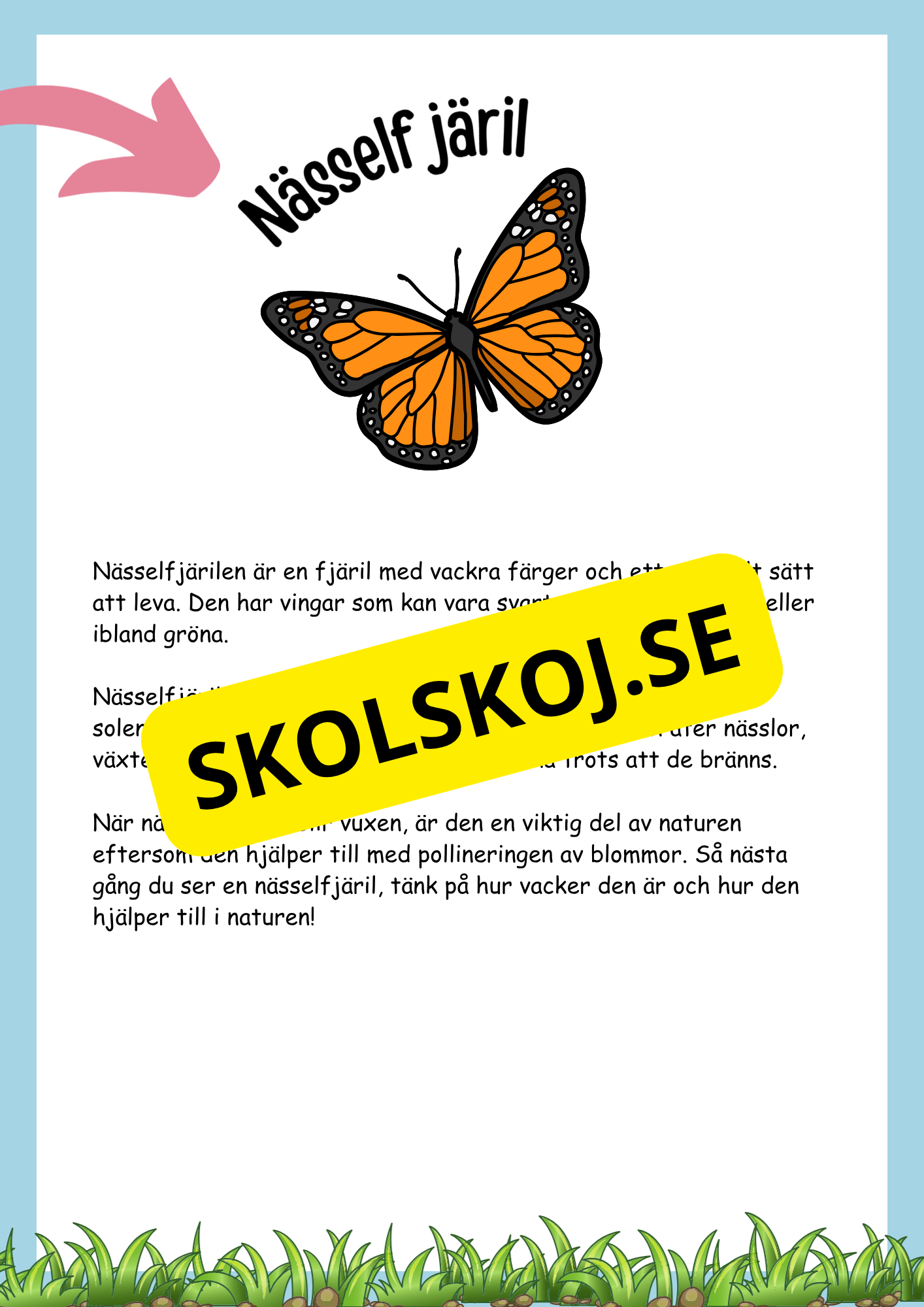 Insekter fakta och läsförståelse