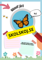 Insekter fakta och läsförståelse