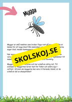 Insekter fakta och läsförståelse
