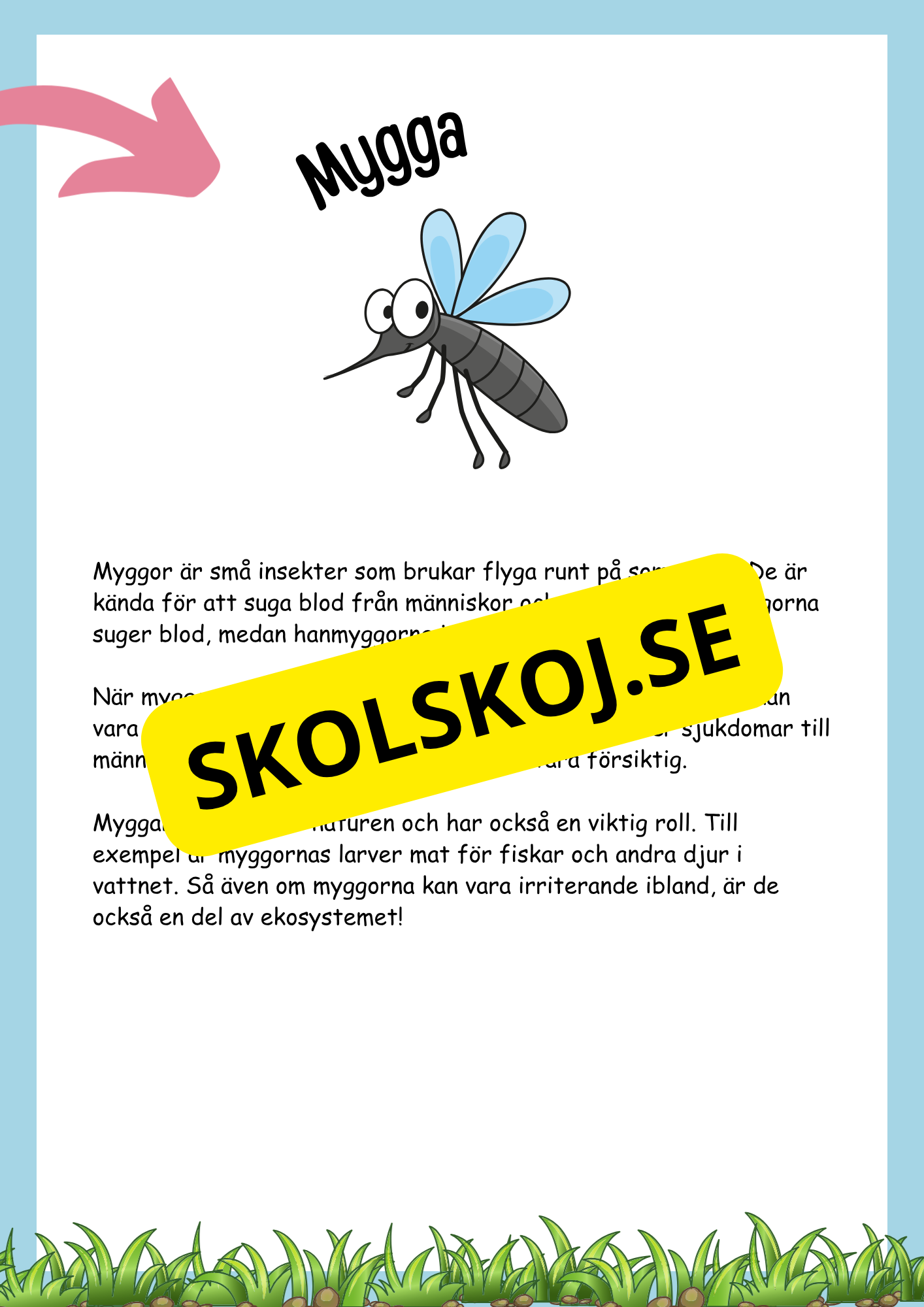 Insekter fakta och läsförståelse