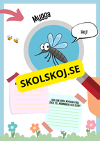Insekter fakta och läsförståelse