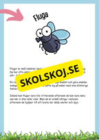 Insekter fakta och läsförståelse