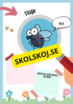 Insekter fakta och läsförståelse