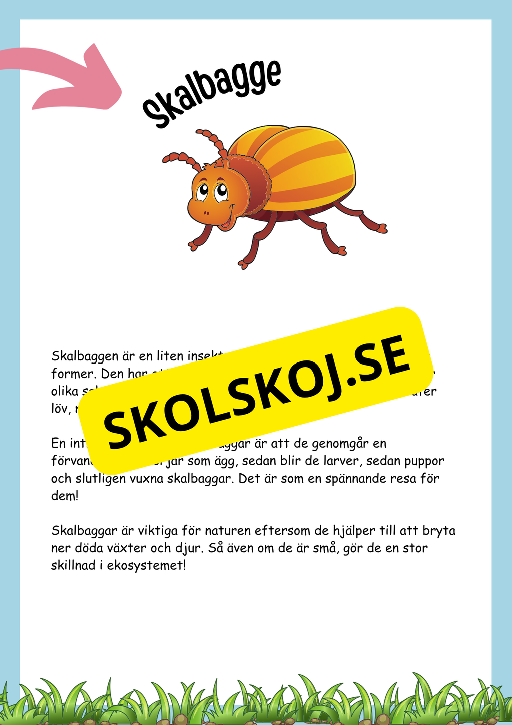 Insekter fakta och läsförståelse