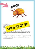 Insekter fakta och läsförståelse