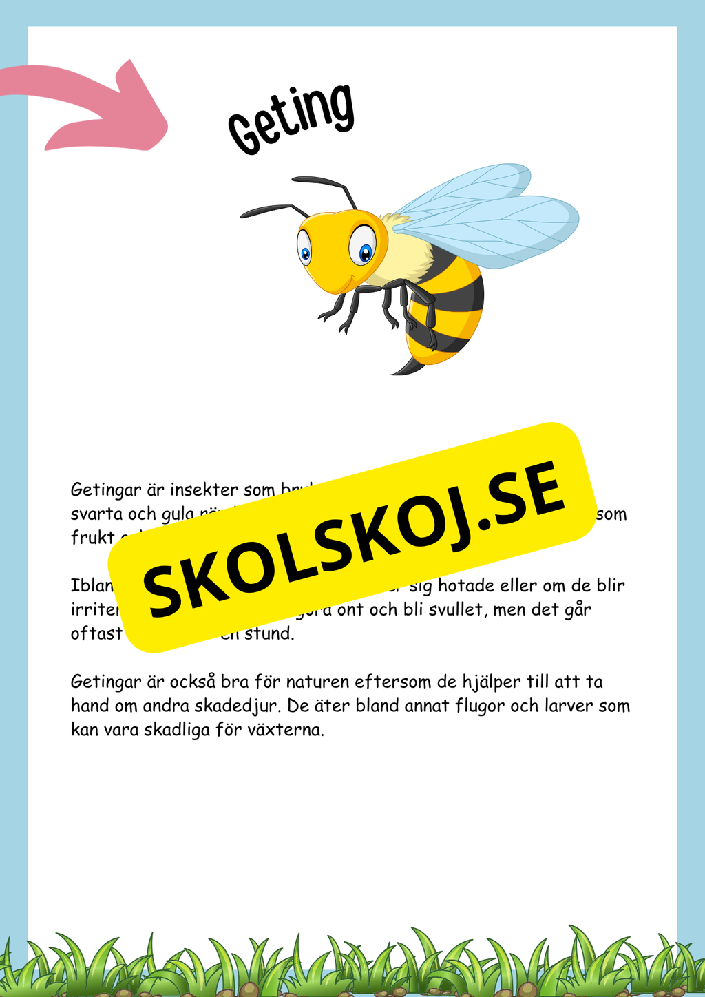 Insekter fakta och läsförståelse