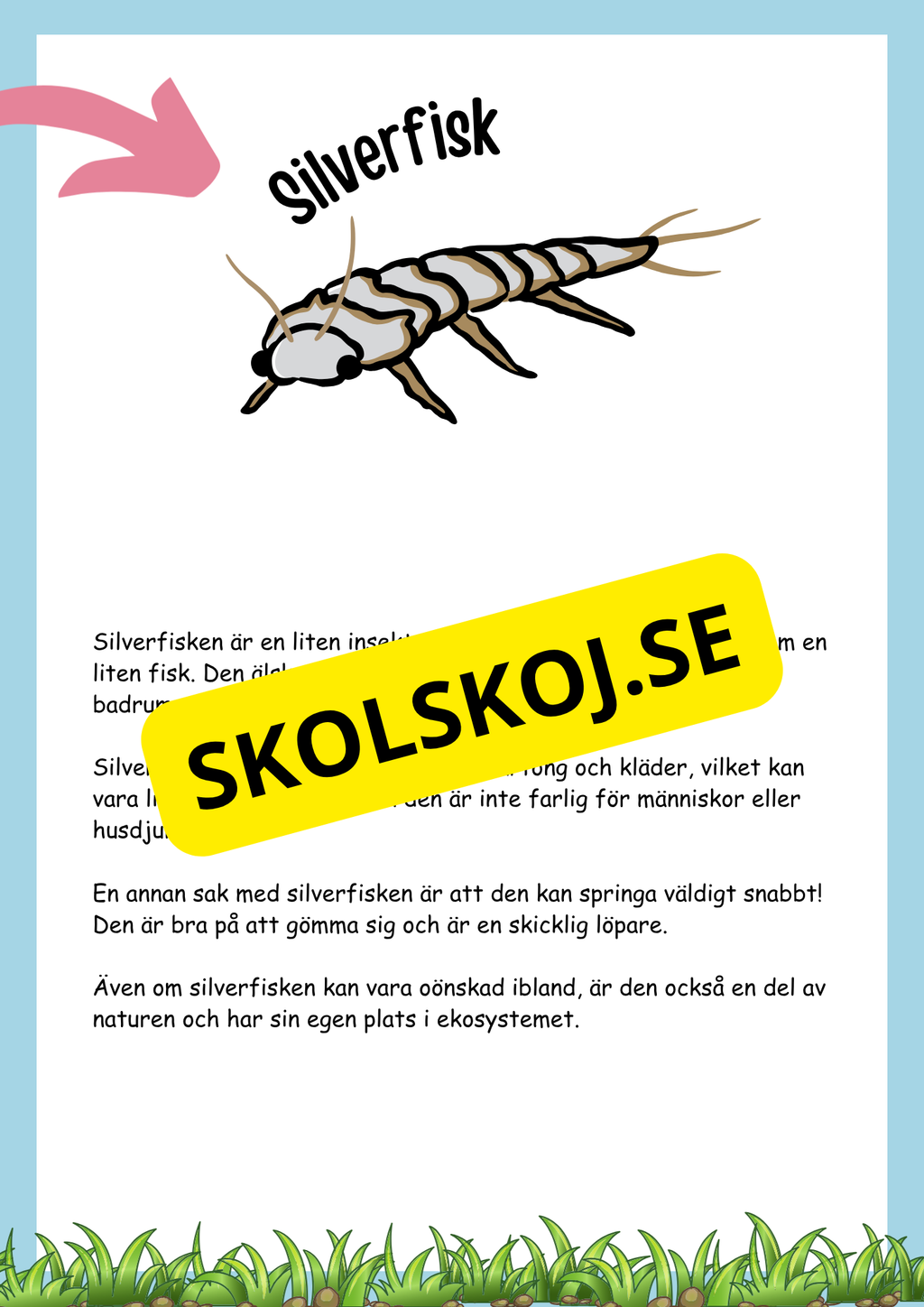 Insekter fakta och läsförståelse