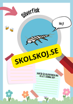 Insekter fakta och läsförståelse