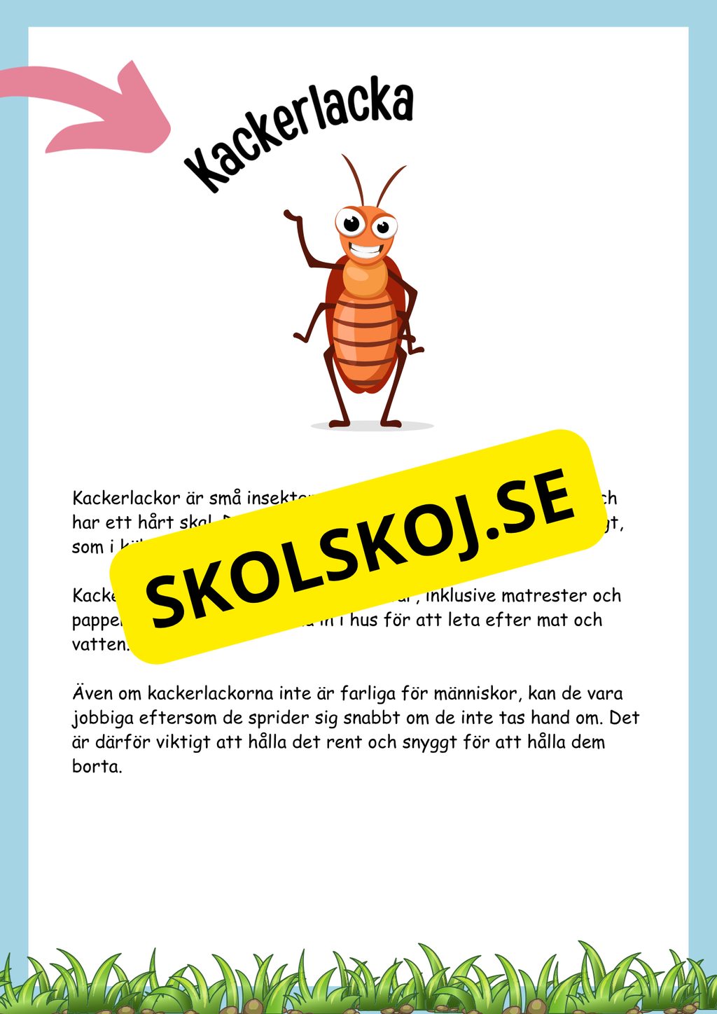 Insekter fakta och läsförståelse