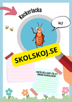Insekter fakta och läsförståelse