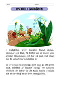 Insekter i trädgården