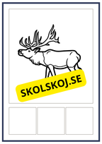 Jag kan stava, skriva och läsa (26 sidor)