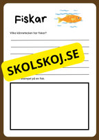 Klassificera djur