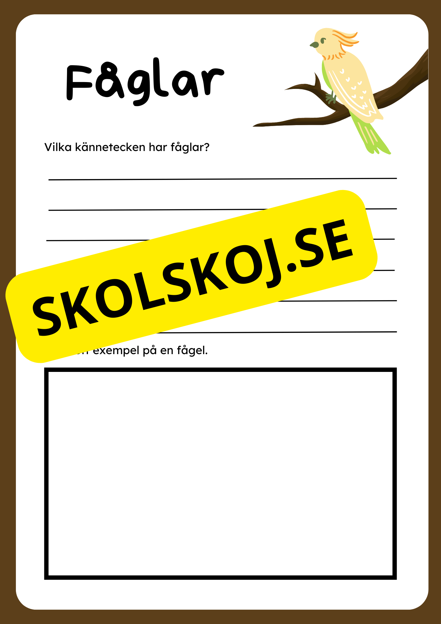 Klassificera djur