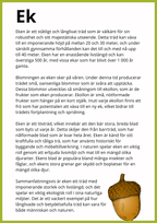 Kortfakta om träd