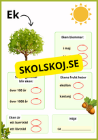 Kortfakta om träd