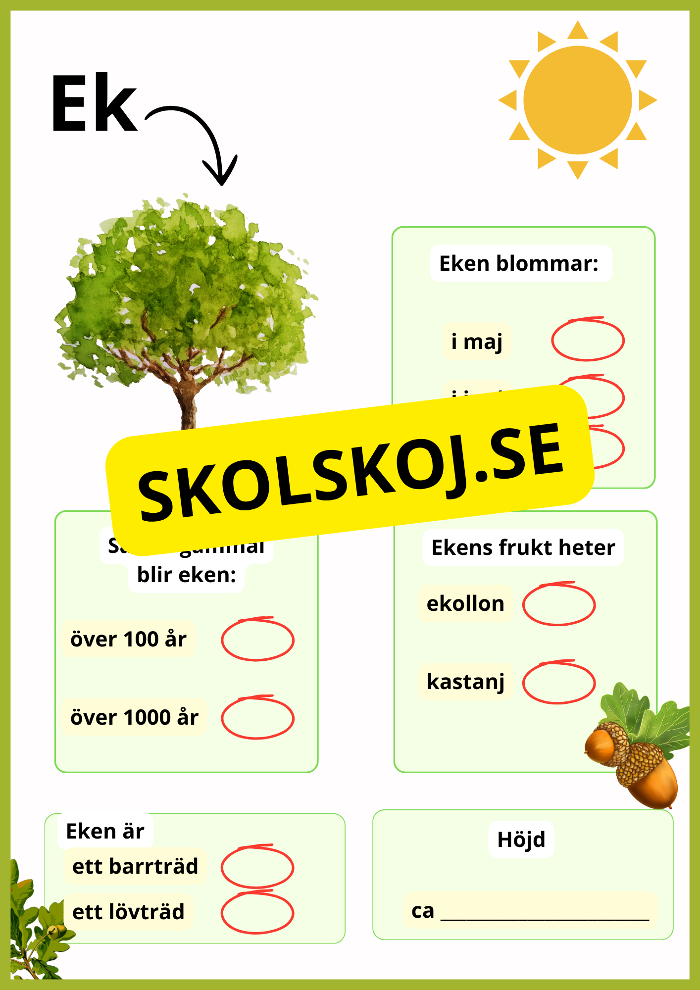Kortfakta om träd