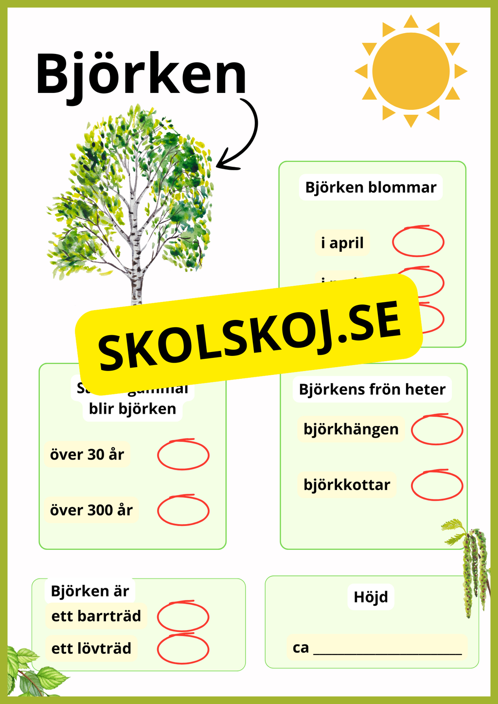 Kortfakta om träd