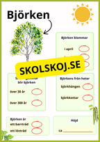 Kortfakta om träd